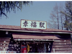 看板しか撮ってねーや