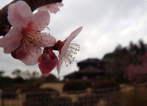 好文亭行列でした。