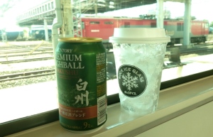 ２両編成は茨城用？