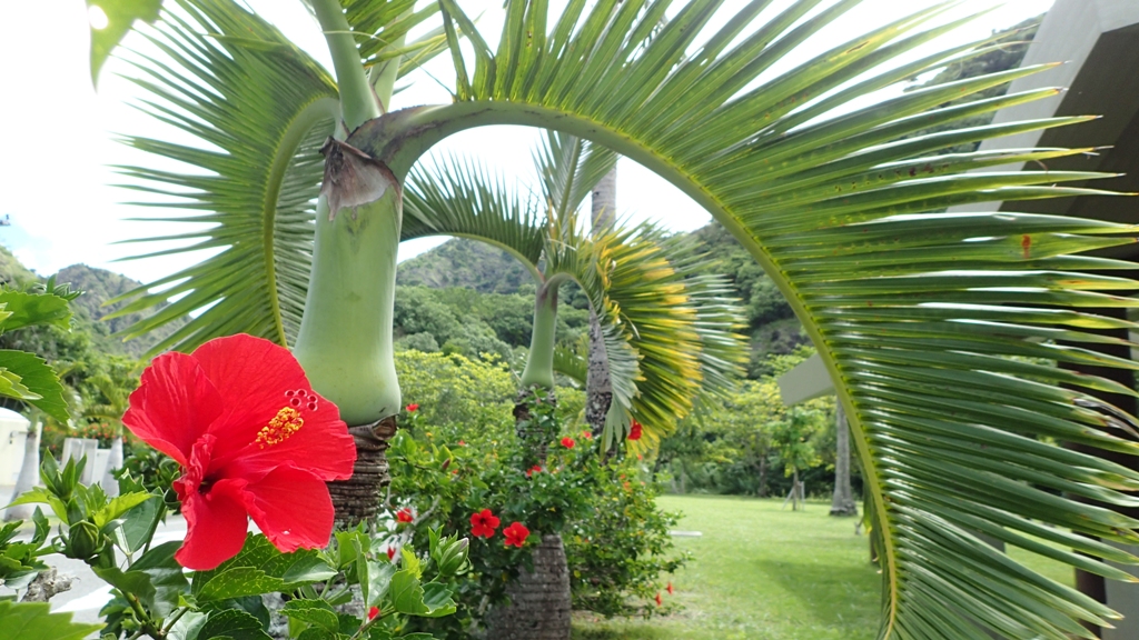 赤を観たら撮れ！！